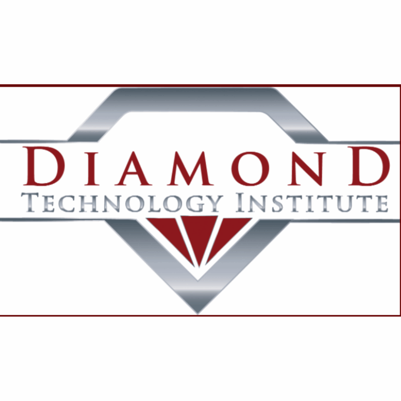 Diamond Technology Institute Diamond Technology Institute Logo